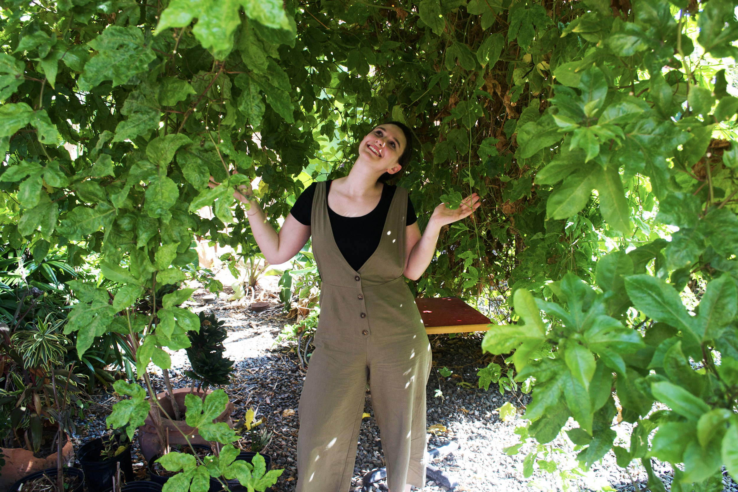 PASSION FRUIT TREE- MY SYMBOL FOR HAVING LOVE OF WHAT I DO!
